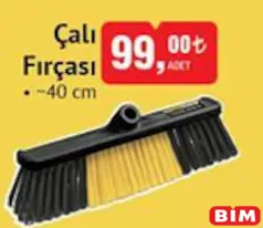 SGS ÇALI FIRÇASI 40 CM